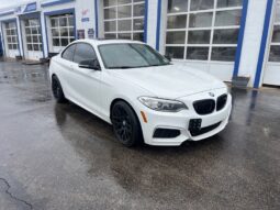 2015 BMW 2 Series M235i xDrive full