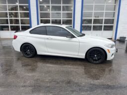 2015 BMW 2 Series M235i xDrive full