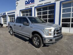 2015 Ford F-150 XL full